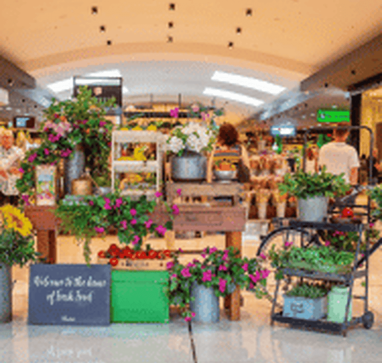 Quality retailer in a mall and department store 